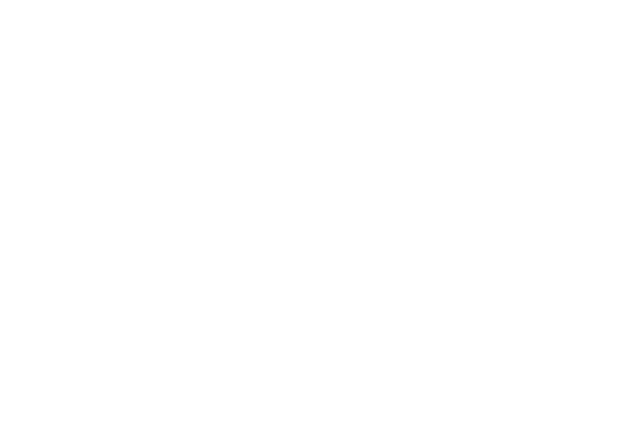 University of South Wales